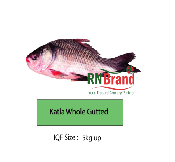 Katla Fish