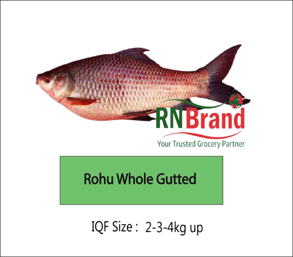 rohu fish