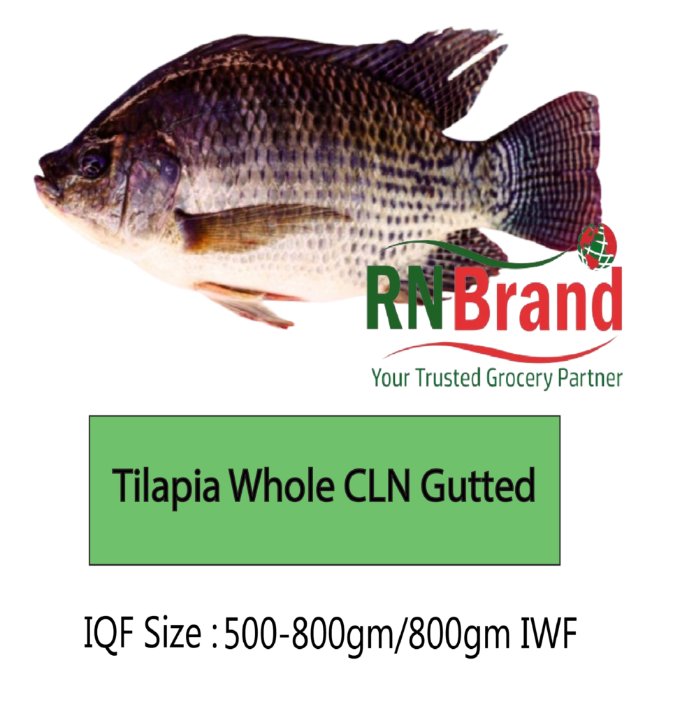 tilapia whole CLN gutted